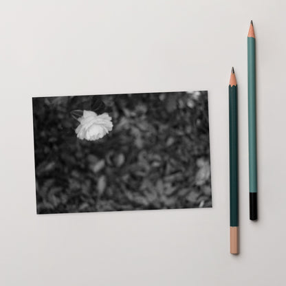 Minimalist mode style postcard featuring a 'Camellia Flower' black and white photo print / モードストリート系デザインのポストカード、「カメリア（椿）」のモノクロ写真プリント（アートカード）