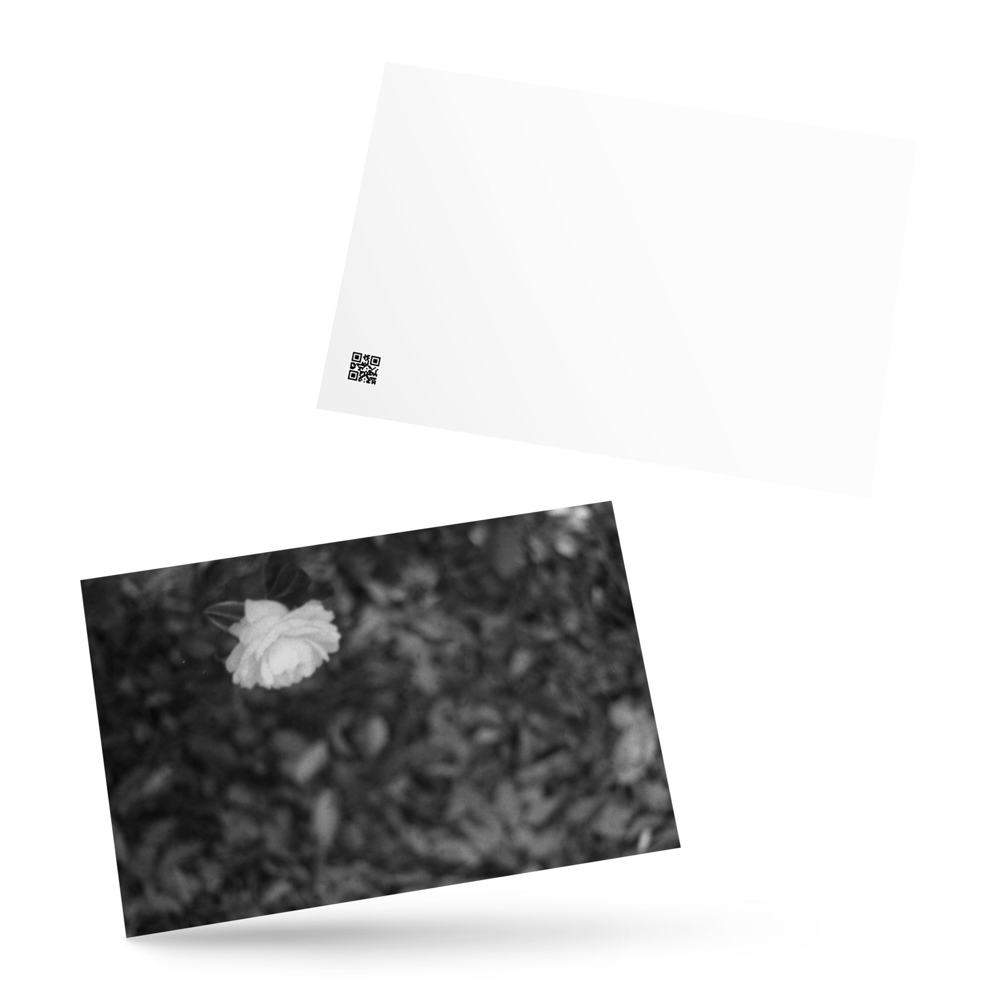 Minimalist mode style postcard featuring a 'Camellia Flower' black and white photo print / モードストリート系デザインのポストカード、「カメリア（椿）」のモノクロ写真プリント（アートカード）