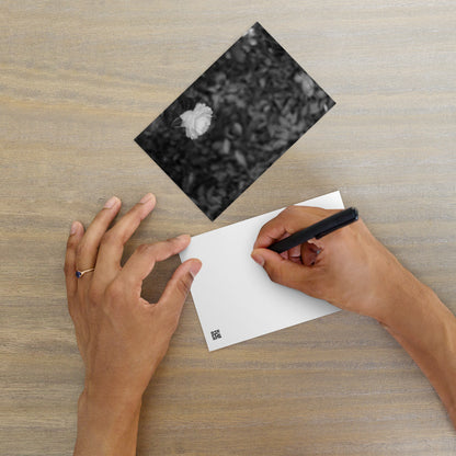 Minimalist mode style postcard featuring a 'Camellia Flower' black and white photo print / モードストリート系デザインのポストカード、「カメリア（椿）」のモノクロ写真プリント（アートカード）