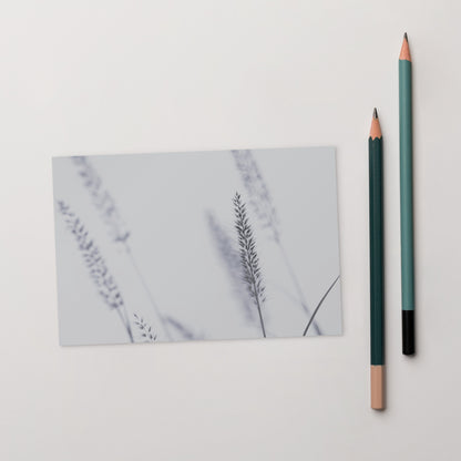 Minimalist mode style postcard featuring a 'Foxtail Grass' print / モードストリート系デザインのポストカード、「Foxtail Grass（エノコログサ）」のプリント（ポストカード）