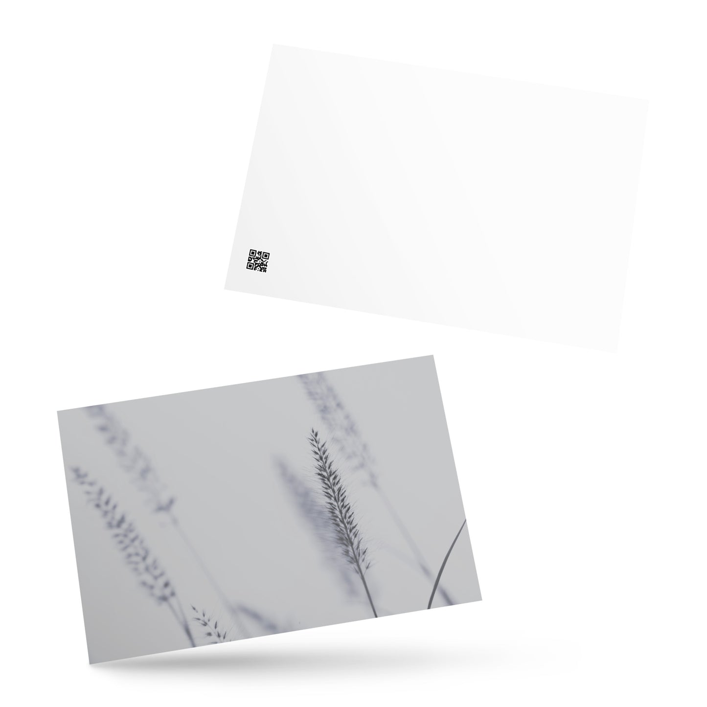 Minimalist mode style postcard featuring a 'Foxtail Grass' print / モードストリート系デザインのポストカード、「Foxtail Grass（エノコログサ）」のプリント（ポストカード）