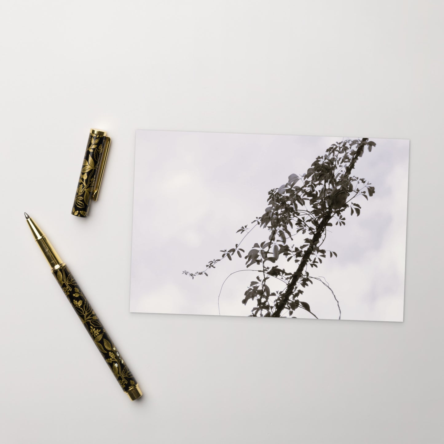 Minimalist mode style postcard featuring a 'Vines Entangled on a Utility Pole' black and white photo print / モードストリート系デザインのポストカード、「電柱に絡まるツル」のモノクロ写真プリント（ポストカード）