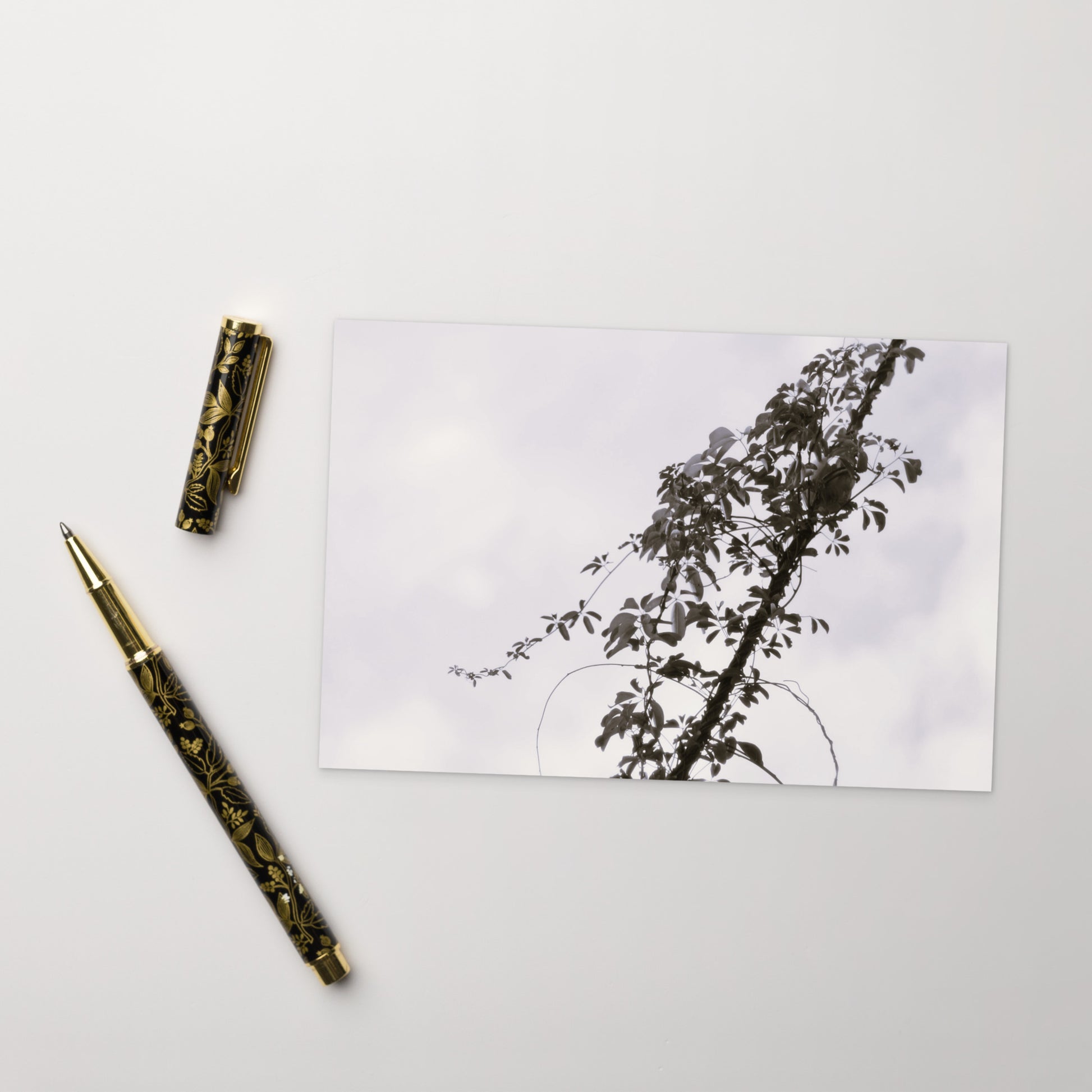 Minimalist mode style postcard featuring a 'Vines Entangled on a Utility Pole' black and white photo print / モードストリート系デザインのポストカード、「電柱に絡まるツル」のモノクロ写真プリント（ポストカード）