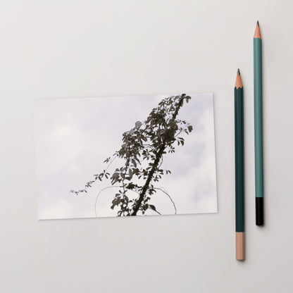 Minimalist mode style postcard featuring a 'Vines Entangled on a Utility Pole' black and white photo print / モードストリート系デザインのポストカード、「電柱に絡まるツル」のモノクロ写真プリント（ポストカード）