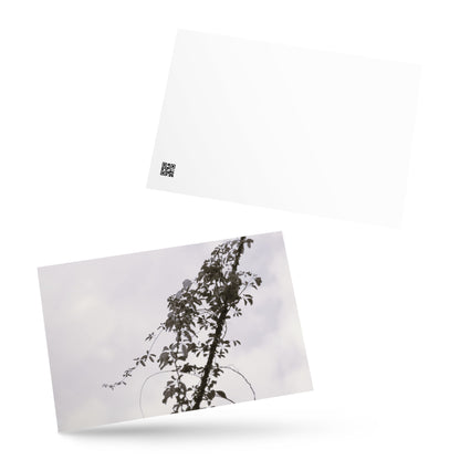 Minimalist mode style postcard featuring a 'Vines Entangled on a Utility Pole' black and white photo print / モードストリート系デザインのポストカード、「電柱に絡まるツル」のモノクロ写真プリント（ポストカード）