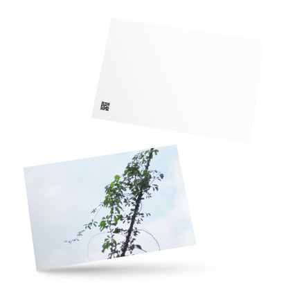 Minimalist mode style postcard featuring a 'Vines Entangled on a Utility Pole' photo print / モードストリート系デザインのポストカード、「電柱に絡まるツル」の写真プリント（ポストカード）