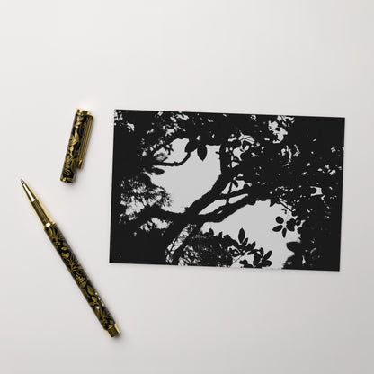 Minimalist mode style postcard featuring a 'Forest' black and white photo print / モードストリート系デザインのポストカード、「Forest（森）」のモノクロ写真プリント（ポストカード）