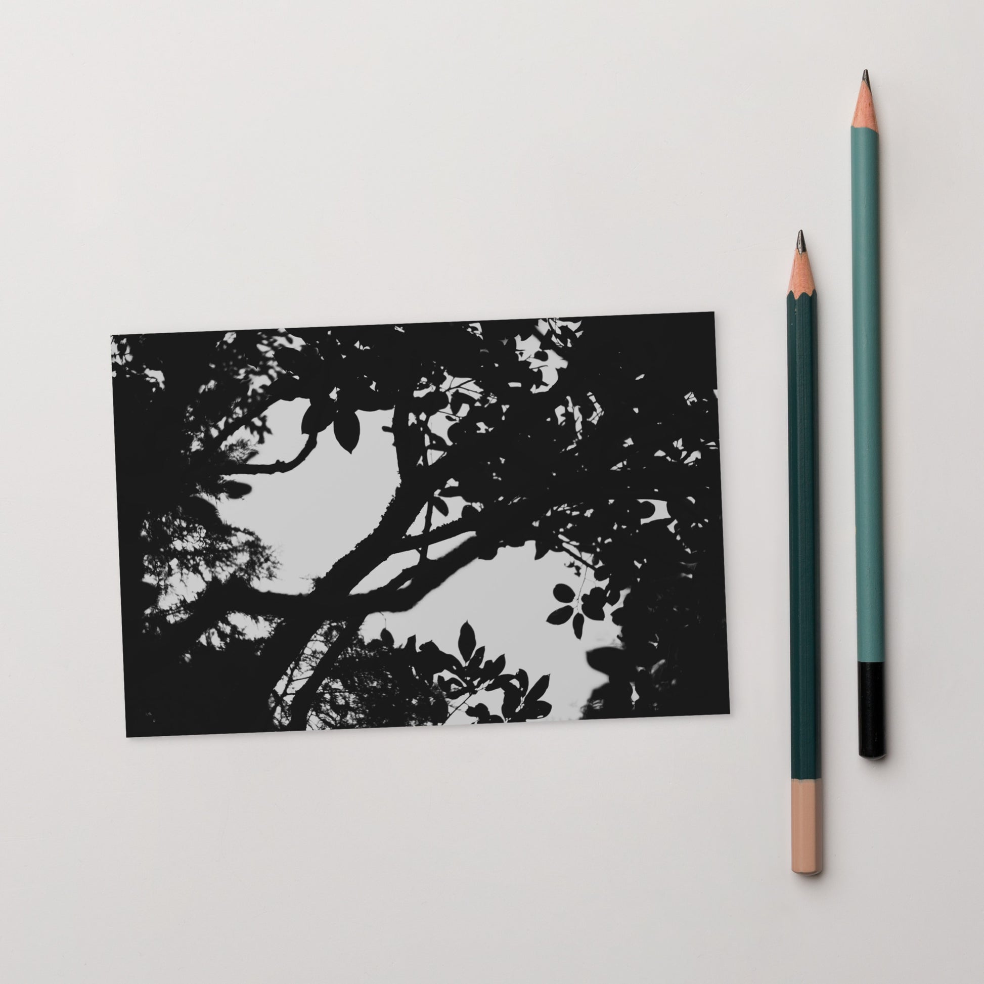 Minimalist mode style postcard featuring a 'Forest' black and white photo print / モードストリート系デザインのポストカード、「Forest（森）」のモノクロ写真プリント（ポストカード）