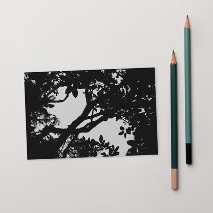 Minimalist mode style postcard featuring a 'Forest' black and white photo print / モードストリート系デザインのポストカード、「Forest（森）」のモノクロ写真プリント（ポストカード）