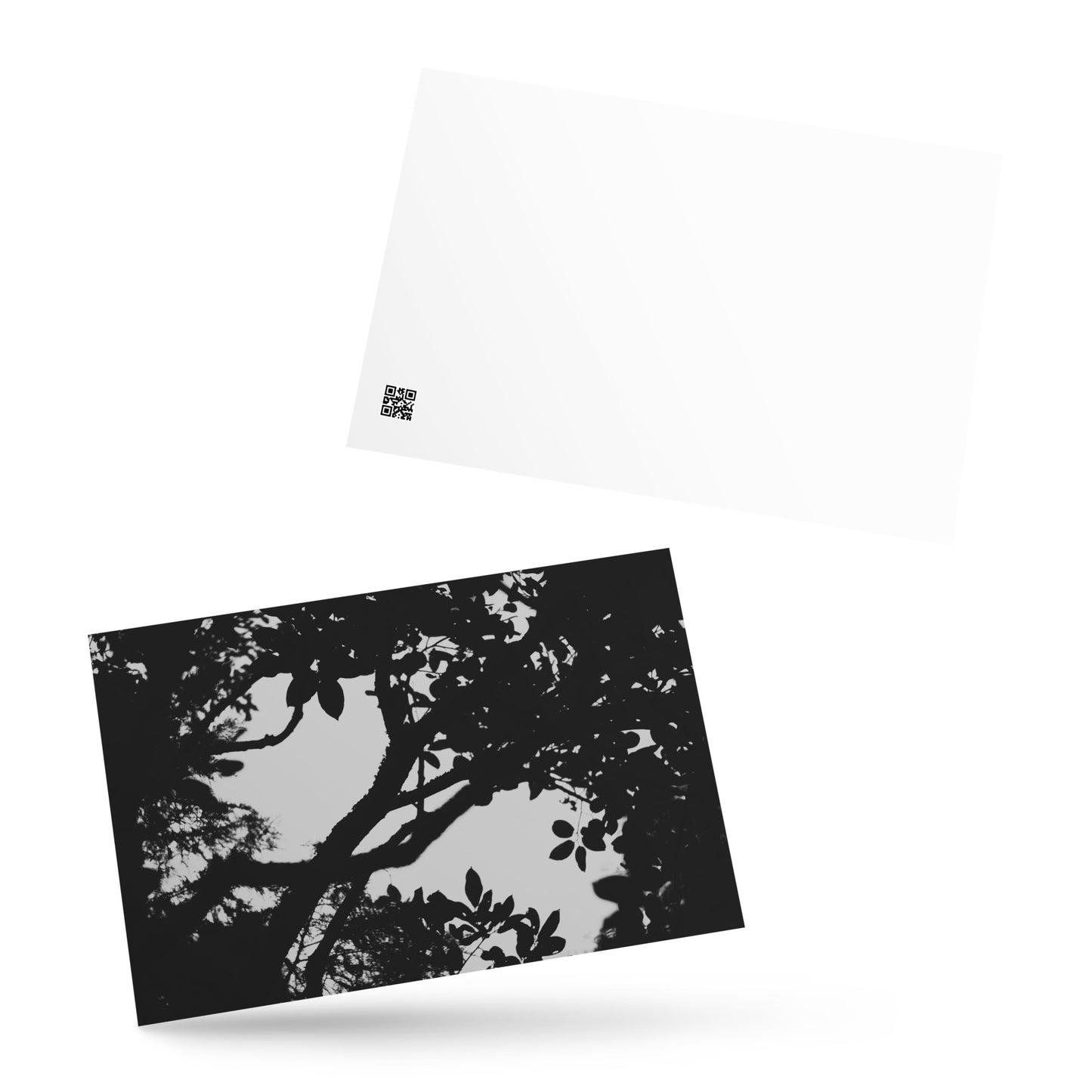 Minimalist mode style postcard featuring a 'Forest' black and white photo print / モードストリート系デザインのポストカード、「Forest（森）」のモノクロ写真プリント（ポストカード）