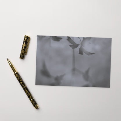 Minimalist mode style postcard featuring a 'Water Surface & Leaves' black and white photo print / モードストリート系デザインのポストカード、「Water Surface & Leaves（水面と葉）」のモノクロ写真プリント（ポストカード）