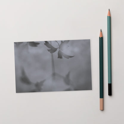 Minimalist mode style postcard featuring a 'Water Surface & Leaves' black and white photo print / モードストリート系デザインのポストカード、「Water Surface & Leaves（水面と葉）」のモノクロ写真プリント（ポストカード）