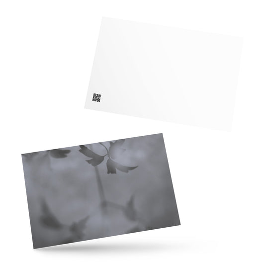 Minimalist mode style postcard featuring a 'Water Surface & Leaves' black and white photo print / モードストリート系デザインのポストカード、「Water Surface & Leaves（水面と葉）」のモノクロ写真プリント（ポストカード）