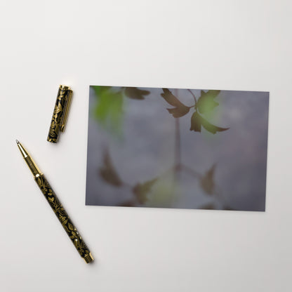 Minimalist mode style postcard featuring a 'Water Surface & Leaves' art print / モードストリート系デザインのポストカード、「Water Surface & Leaves（水面と葉）」のアートプリント（ポストカード）