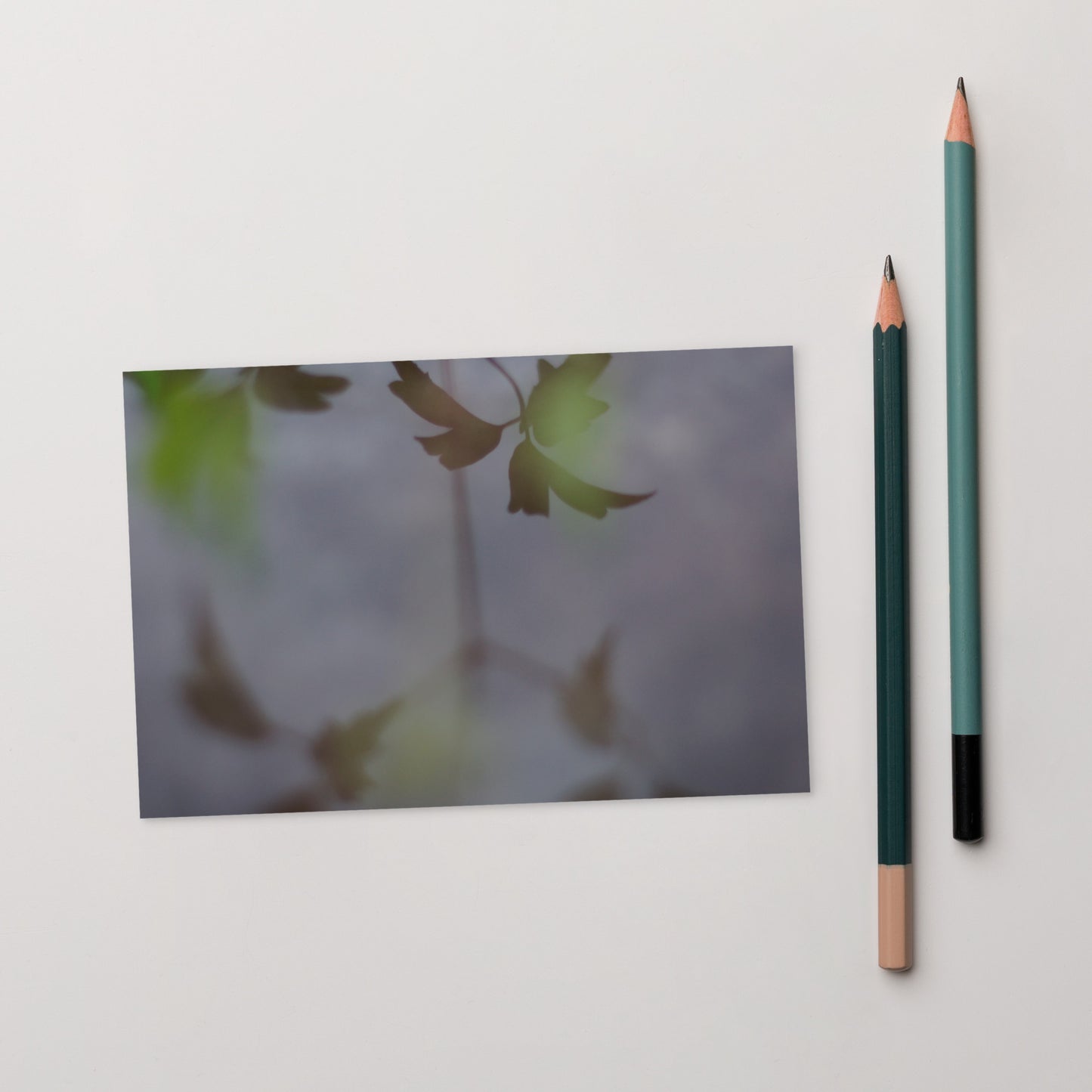 Minimalist mode style postcard featuring a 'Water Surface & Leaves' art print / モードストリート系デザインのポストカード、「Water Surface & Leaves（水面と葉）」のアートプリント（ポストカード）