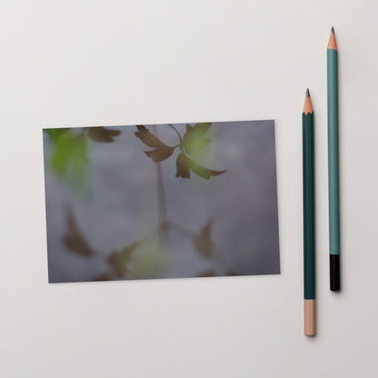 Minimalist mode style postcard featuring a 'Water Surface & Leaves' art print / モードストリート系デザインのポストカード、「Water Surface & Leaves（水面と葉）」のアートプリント（ポストカード）