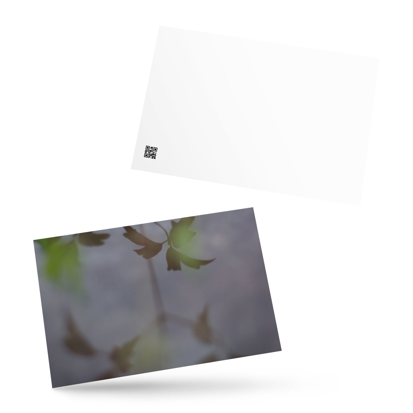 Minimalist mode style postcard featuring a 'Water Surface & Leaves' art print / モードストリート系デザインのポストカード、「Water Surface & Leaves（水面と葉）」のアートプリント（ポストカード）