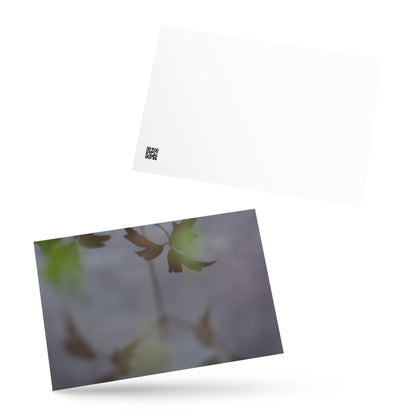 Minimalist mode style postcard featuring a 'Water Surface & Leaves' art print / モードストリート系デザインのポストカード、「Water Surface & Leaves（水面と葉）」のアートプリント（ポストカード）