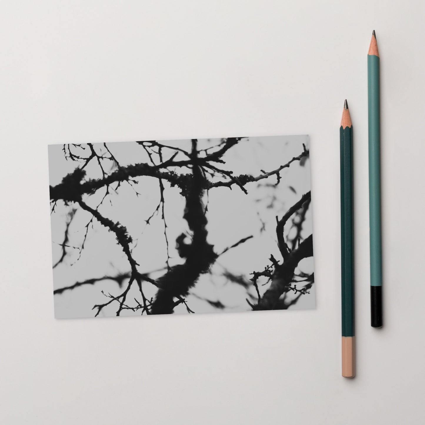 Minimalist mode style postcard featuring a 'Bare Tree' black and white photo print / モードストリート系デザインのポストカード、「Bare Tree（枯れ木）」のモノクロ写真プリント（ポストカード）