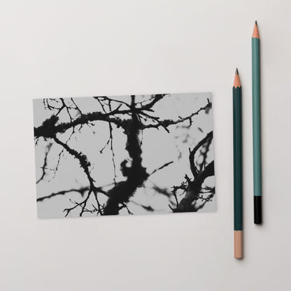 Minimalist mode style postcard featuring a 'Bare Tree' black and white photo print / モードストリート系デザインのポストカード、「Bare Tree（枯れ木）」のモノクロ写真プリント（ポストカード）