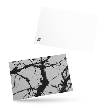 Minimalist mode style postcard featuring a 'Bare Tree' black and white photo print / モードストリート系デザインのポストカード、「Bare Tree（枯れ木）」のモノクロ写真プリント（ポストカード）