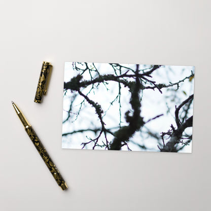 Minimalist mode style postcard featuring a 'Bare Tree' art print / モードストリート系デザインのポストカード、「Bare Tree（枯れ木）」のアートプリント（ポストカード）