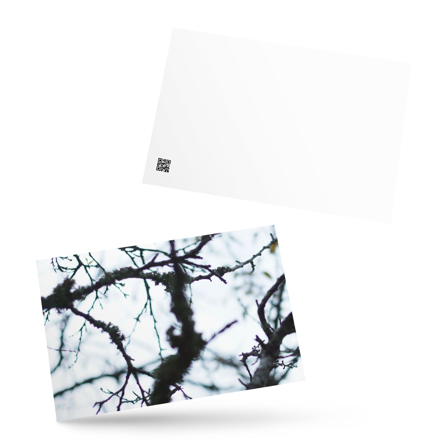 Minimalist mode style postcard featuring a 'Bare Tree' art print / モードストリート系デザインのポストカード、「Bare Tree（枯れ木）」のアートプリント（ポストカード）