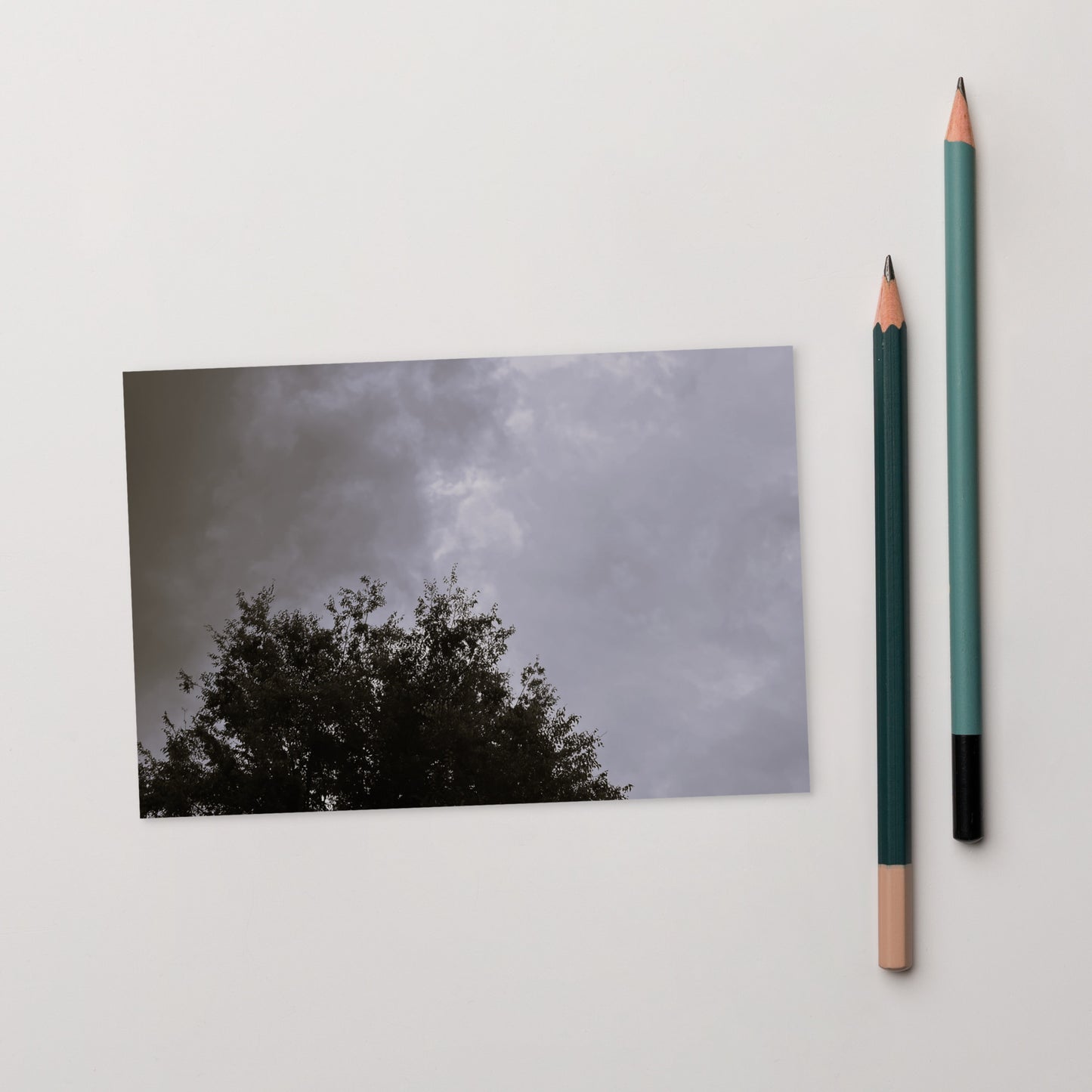 Minimalist mode style postcard featuring a 'Clouds & Tree' black and white photo print / モードストリート系デザインのポストカード、「Clouds & Tree（雲と木）」のモノクロ写真プリント（ポストカード）
