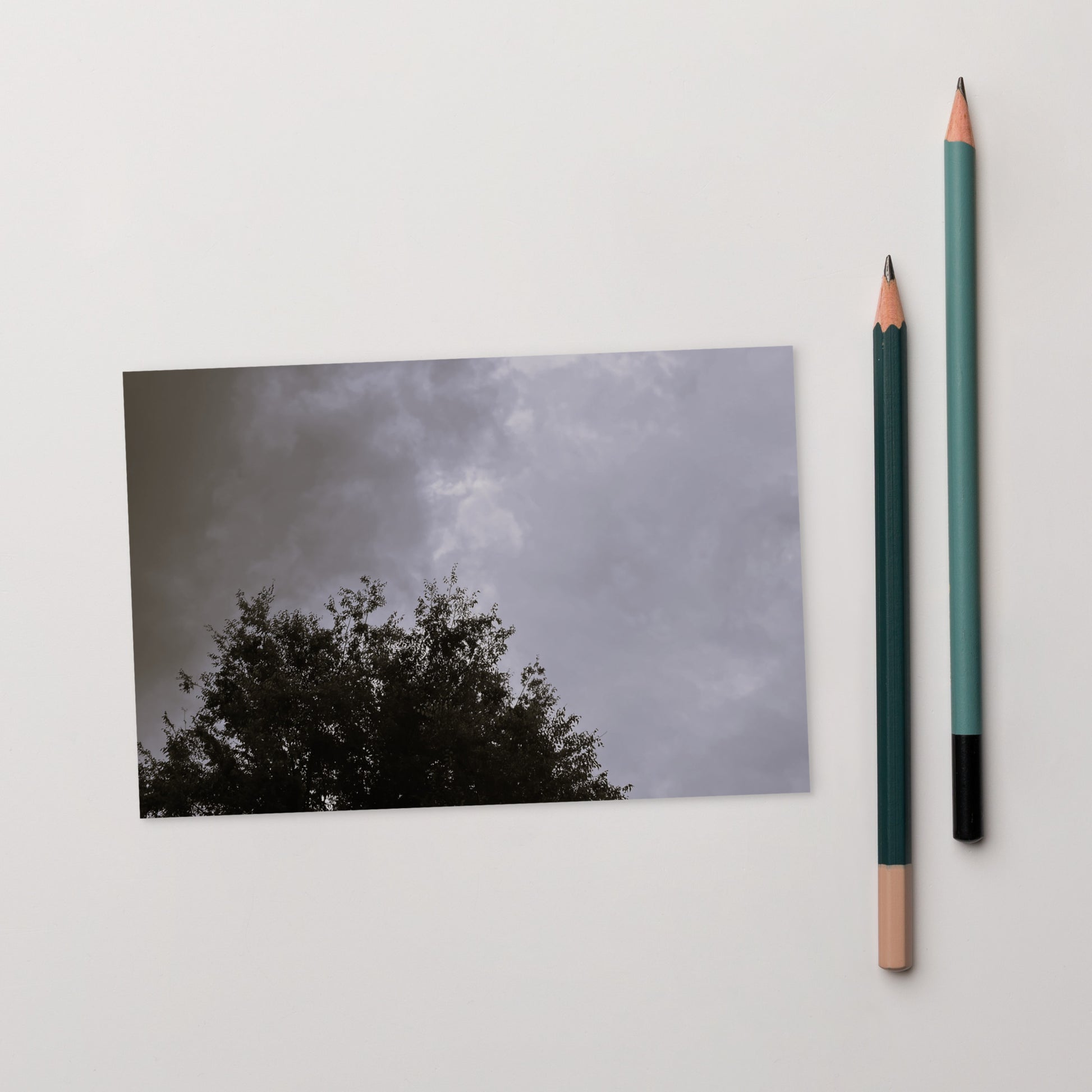 Minimalist mode style postcard featuring a 'Clouds & Tree' black and white photo print / モードストリート系デザインのポストカード、「Clouds & Tree（雲と木）」のモノクロ写真プリント（ポストカード）