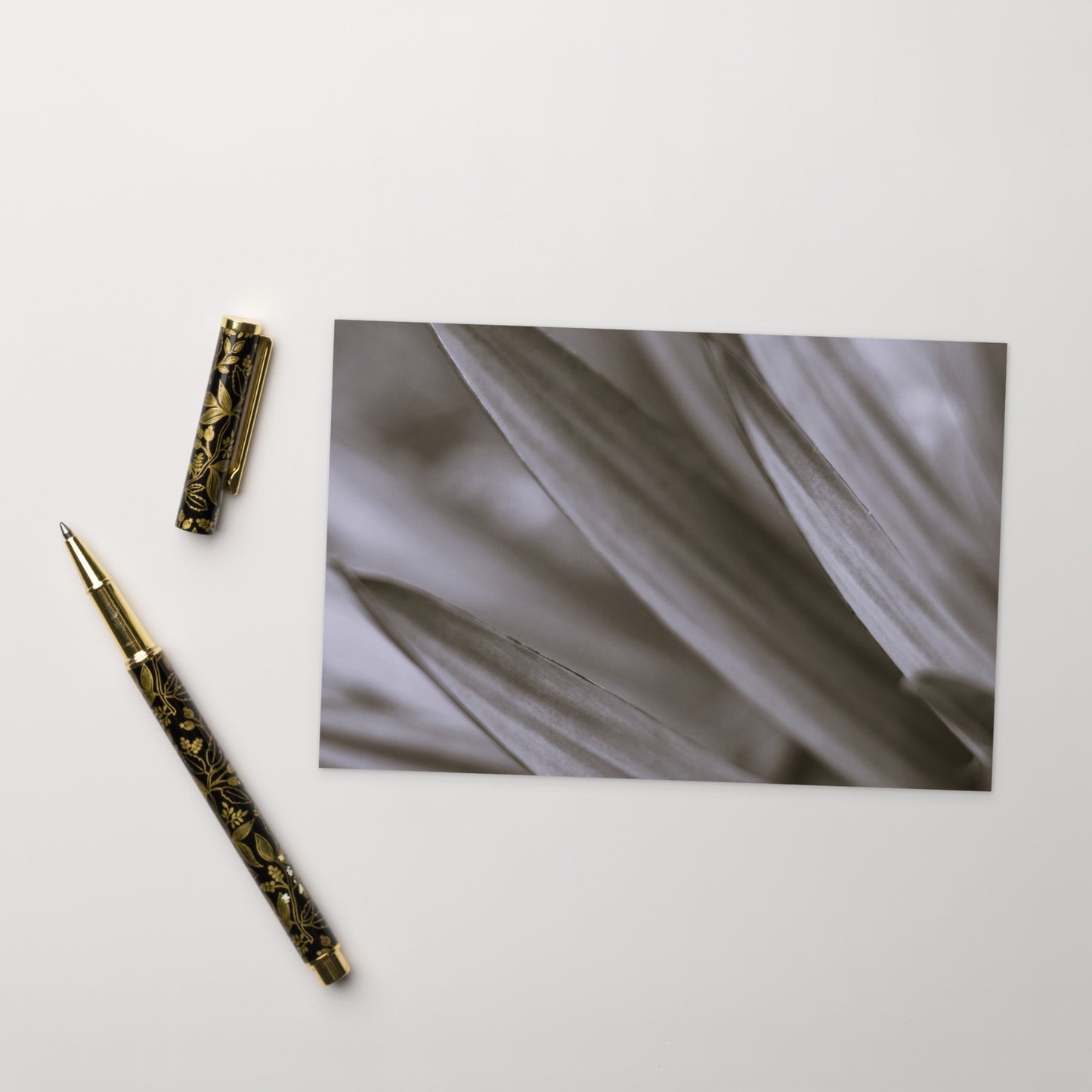 Minimalist style postcard featuring a high-quality black and white photograph of a Yucca plant. Printed on thick, durable, matte cardstock. A sophisticated botanical accent for modern interior design, ideal as a message card or mini-art. / モードストリート系デザインのユッカ植物のモノクロ写真ポストカード。厚手で高品質なマット紙を使用。モダンなインテリアのアクセントやミニマルなアートとして飾るのに最適。