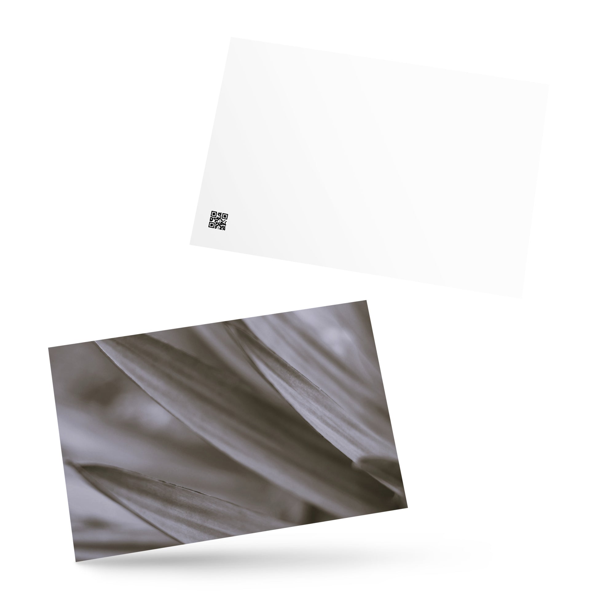 Minimalist style postcard featuring a high-quality black and white photograph of a Yucca plant. Printed on thick, durable, matte cardstock. A sophisticated botanical accent for modern interior design, ideal as a message card or mini-art. / モードストリート系デザインのユッカ植物のモノクロ写真ポストカード。厚手で高品質なマット紙を使用。モダンなインテリアのアクセントやミニマルなアートとして飾るのに最適。