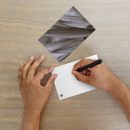 Minimalist style postcard featuring a high-quality black and white photograph of a Yucca plant. Printed on thick, durable, matte cardstock. A sophisticated botanical accent for modern interior design, ideal as a message card or mini-art. / モードストリート系デザインのユッカ植物のモノクロ写真ポストカード。厚手で高品質なマット紙を使用。モダンなインテリアのアクセントやミニマルなアートとして飾るのに最適。