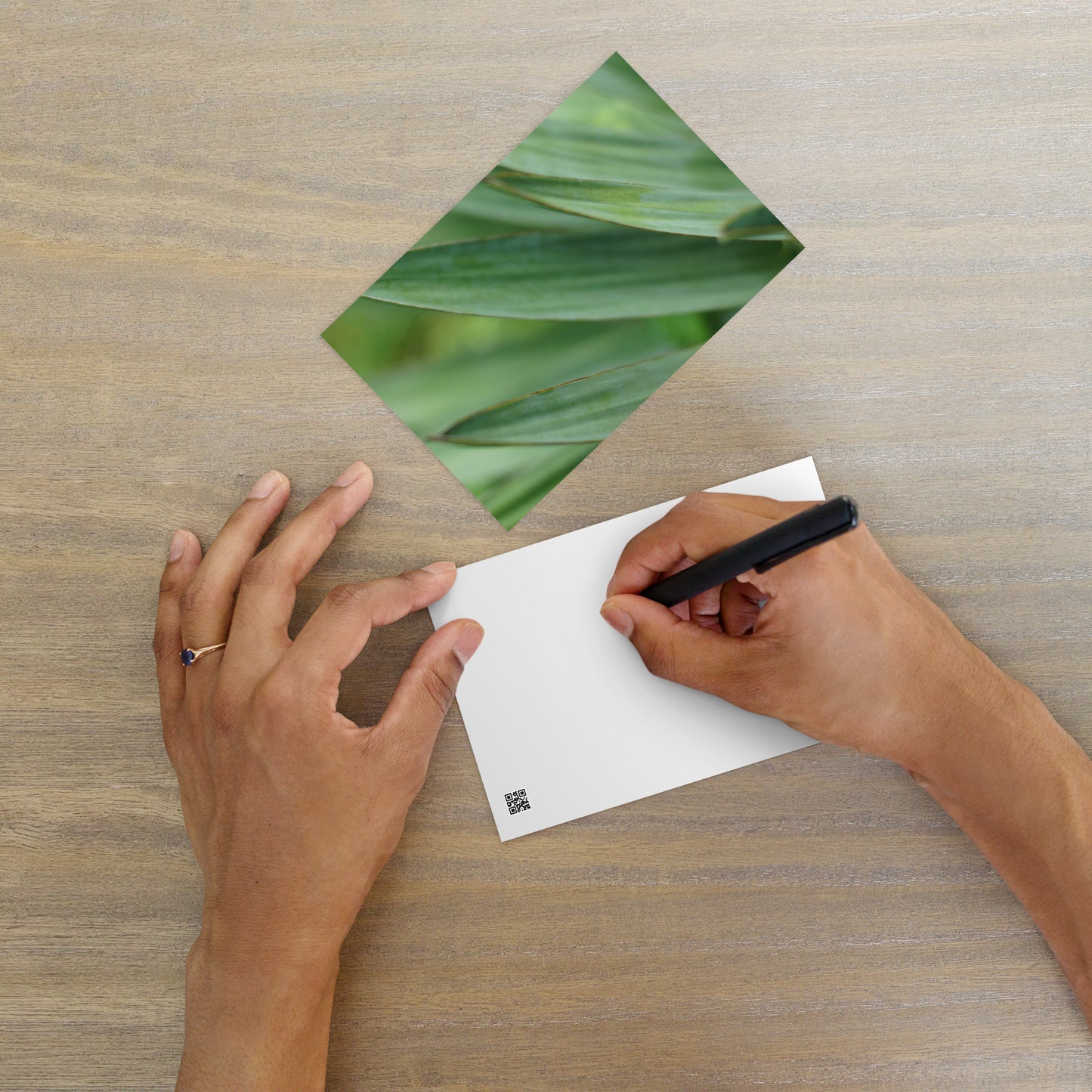 Minimalist streetwear style postcard featuring a high-quality color photograph of a Yucca plant. Printed on thick, durable matte cardstock. A sophisticated botanical accent for modern home decor. / モードストリート系デザインのユッカ植物のカラー写真ポストカード。厚手で高品質なマット紙を使用。モダンなインテリアのアクセントや、ミニマルなアートとして飾るのに最適。
