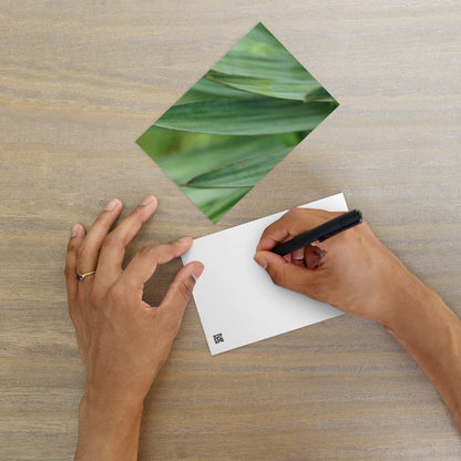 Minimalist streetwear style postcard featuring a high-quality color photograph of a Yucca plant. Printed on thick, durable matte cardstock. A sophisticated botanical accent for modern home decor. / モードストリート系デザインのユッカ植物のカラー写真ポストカード。厚手で高品質なマット紙を使用。モダンなインテリアのアクセントや、ミニマルなアートとして飾るのに最適。