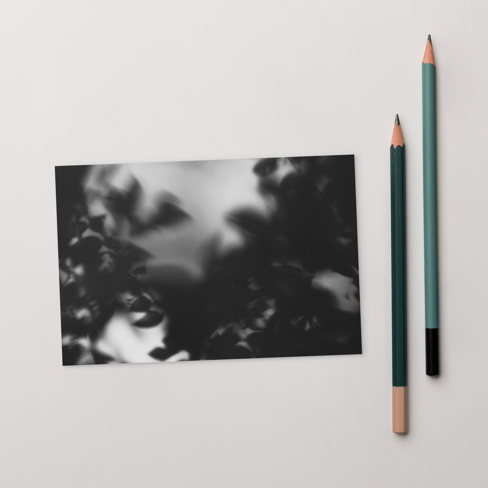 Minimalist streetwear style postcard featuring a 'Tree Branches' black and white photograph. Printed on thick, durable matte cardstock. / Tree Branches（木の枝）B&W ポストカード：モノクロの枝が際立つ、モードストリート系デザインのミニマリスト・ポストカード。厚手のマット紙を使用。