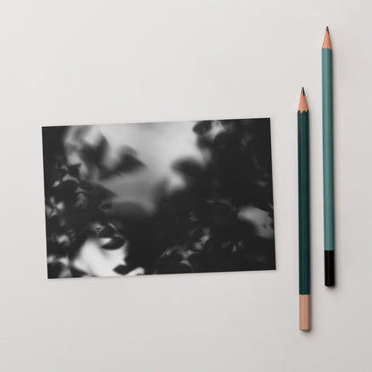 Minimalist streetwear style postcard featuring a 'Tree Branches' black and white photograph. Printed on thick, durable matte cardstock. / Tree Branches（木の枝）B&W ポストカード：モノクロの枝が際立つ、モードストリート系デザインのミニマリスト・ポストカード。厚手のマット紙を使用。