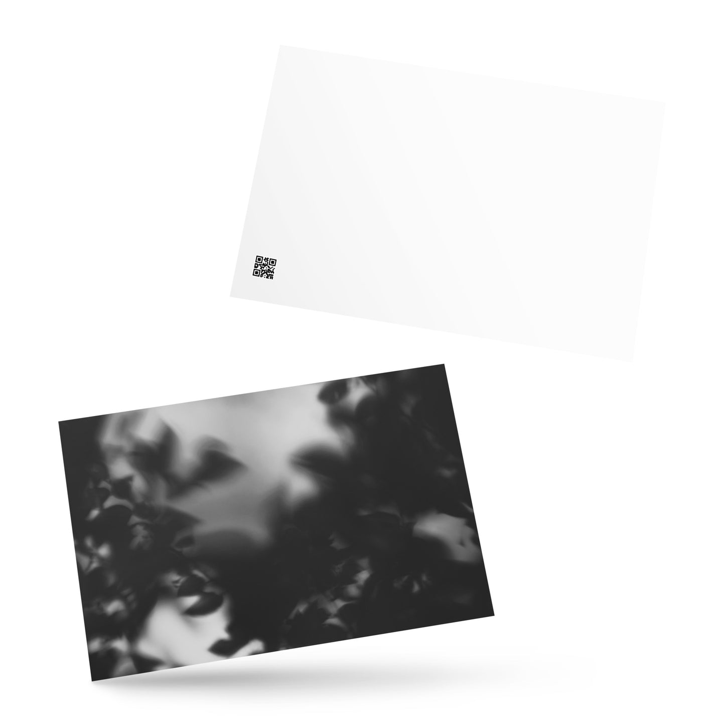 Minimalist streetwear style postcard featuring a 'Tree Branches' black and white photograph. Printed on thick, durable matte cardstock. / Tree Branches（木の枝）B&W ポストカード：モノクロの枝が際立つ、モードストリート系デザインのミニマリスト・ポストカード。厚手のマット紙を使用。