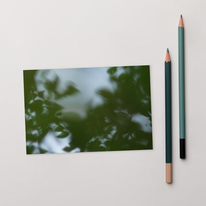 Minimalist streetwear style postcard featuring a 'Tree Branches' botanical photograph. Printed on thick, durable matte cardstock. / Tree Branches ポストカード：モノクロームの枝が際立つ、モードストリート系デザインのミニマリスト・ポストカード。厚手のマット紙を使用。