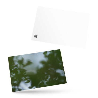 Minimalist streetwear style postcard featuring a 'Tree Branches' botanical photograph. Printed on thick, durable matte cardstock. / Tree Branches ポストカード：モノクロームの枝が際立つ、モードストリート系デザインのミニマリスト・ポストカード。厚手のマット紙を使用。
