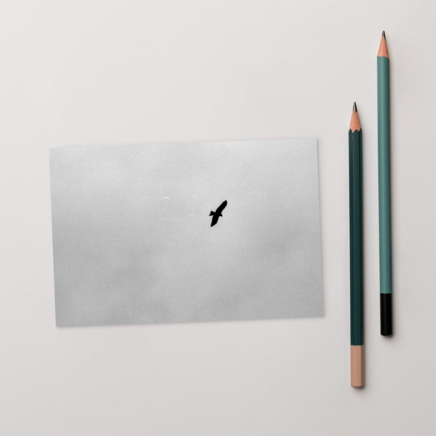 Lifestyle shot of a person holding the 'Bird and Sky (B&W)' postcard, highlighting its thick, high-quality matte paper texture. / 「Bird and Sky (B&W)」ポストカード：手に馴染む厚手のマット紙を使用したポストカード。大切な人へのメッセージカードとしてはもちろん、ミニ・アートとしても楽しめます。