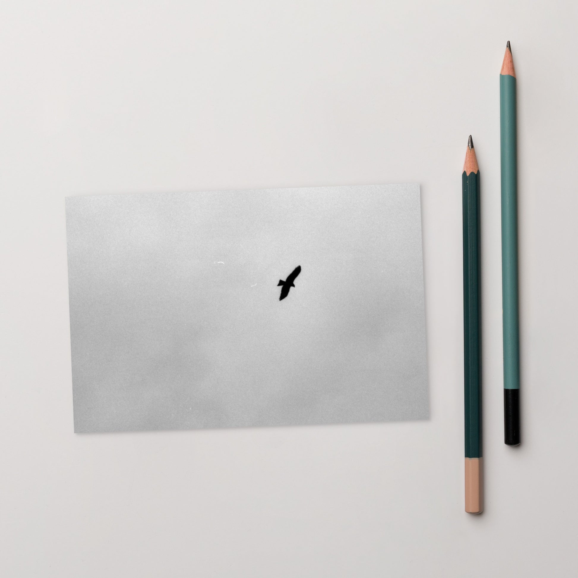 Lifestyle shot of a person holding the 'Bird and Sky (B&W)' postcard, highlighting its thick, high-quality matte paper texture. / 「Bird and Sky (B&W)」ポストカード：手に馴染む厚手のマット紙を使用したポストカード。大切な人へのメッセージカードとしてはもちろん、ミニ・アートとしても楽しめます。