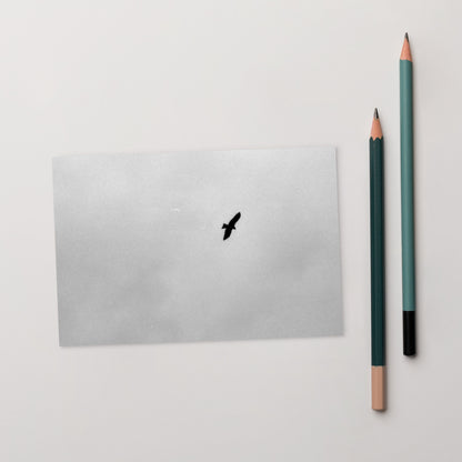 Lifestyle shot of a person holding the 'Bird and Sky (B&W)' postcard, highlighting its thick, high-quality matte paper texture. / 「Bird and Sky (B&W)」ポストカード：手に馴染む厚手のマット紙を使用したポストカード。大切な人へのメッセージカードとしてはもちろん、ミニ・アートとしても楽しめます。