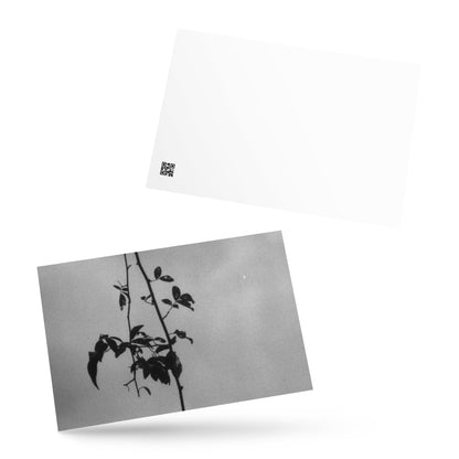 Minimalist streetwear style postcard featuring the 'Eucalyptus Tree (B&W)' photo art. / モードストリート系ポストカード：「ユーカリの木（モノクロ）」のフォトアートを配したデザイン。