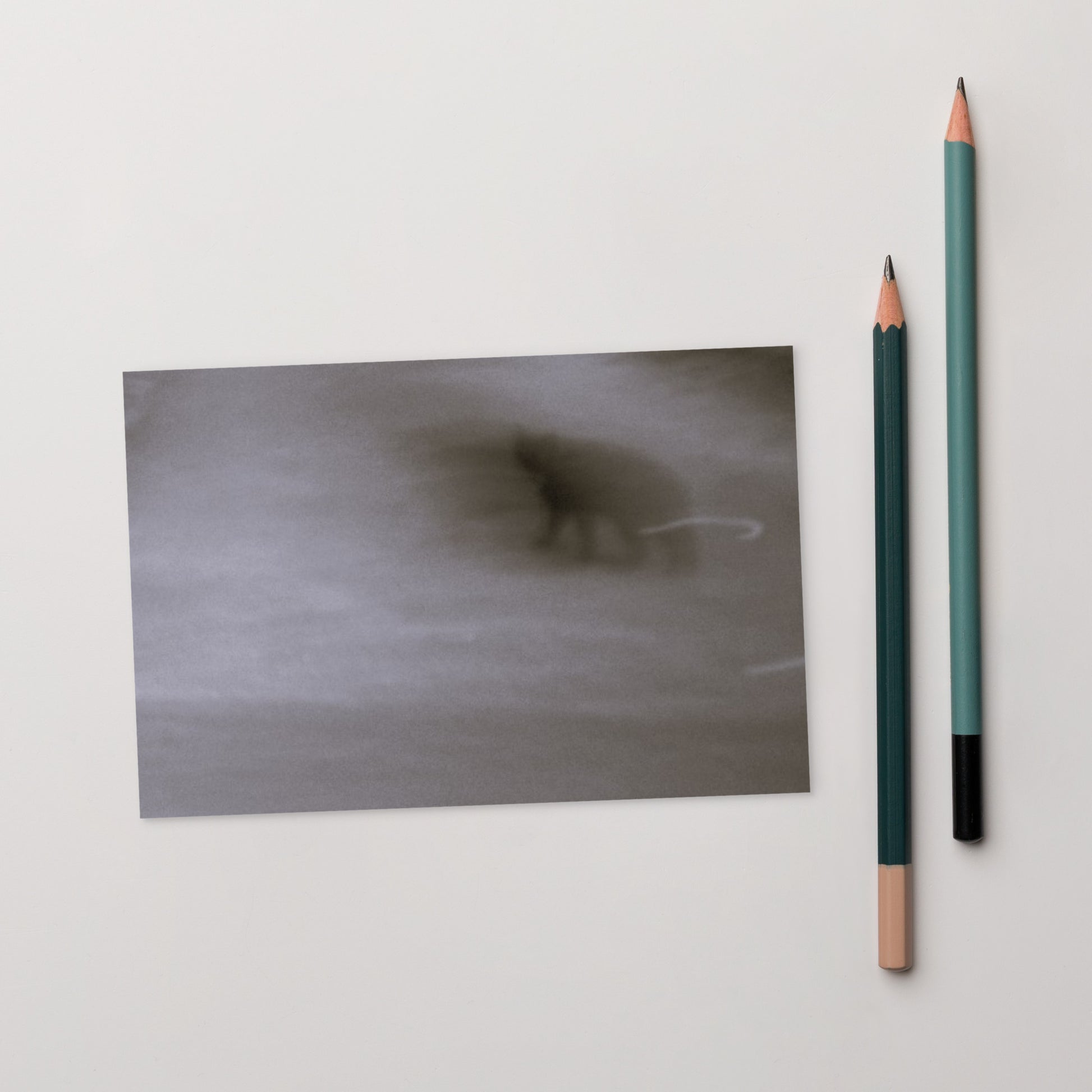 Minimalist streetwear style postcard featuring the 'Cat (B&W)' photo art. / モードストリート系ポストカード：「猫（モノクロ）」のフォトアートを配したデザイン。