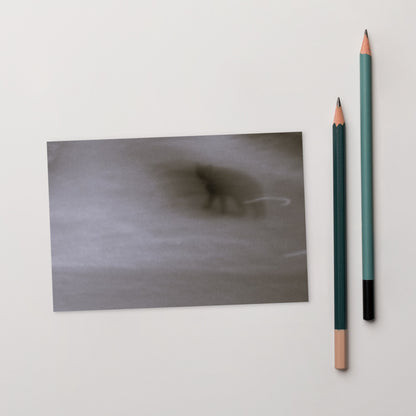 Minimalist streetwear style postcard featuring the 'Cat (B&W)' photo art. / モードストリート系ポストカード：「猫（モノクロ）」のフォトアートを配したデザイン。