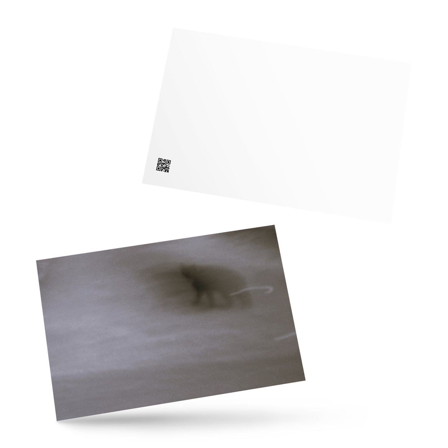 Minimalist streetwear style postcard featuring the 'Cat (B&W)' photo art. / モードストリート系ポストカード：「猫（モノクロ）」のフォトアートを配したデザイン。