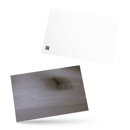 Minimalist streetwear style postcard featuring the 'Cat (B&W)' photo art. / モードストリート系ポストカード：「猫（モノクロ）」のフォトアートを配したデザイン。