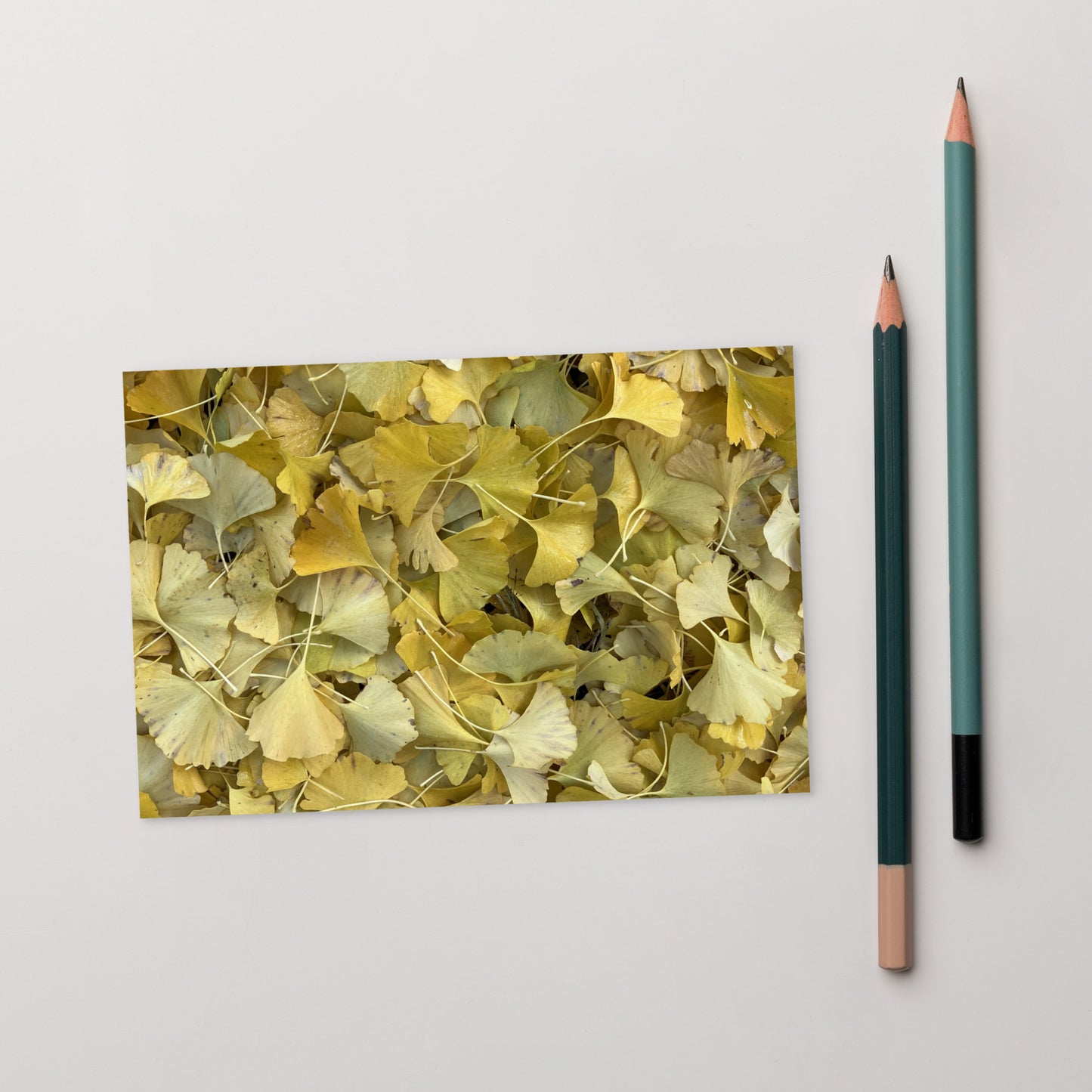 Minimalist art postcard featuring the 'Ginkgo Fallen Leaves' photo art. / ポストカード：「イチョウの落ち葉」のフォトアートを配したミニマリストデザイン。