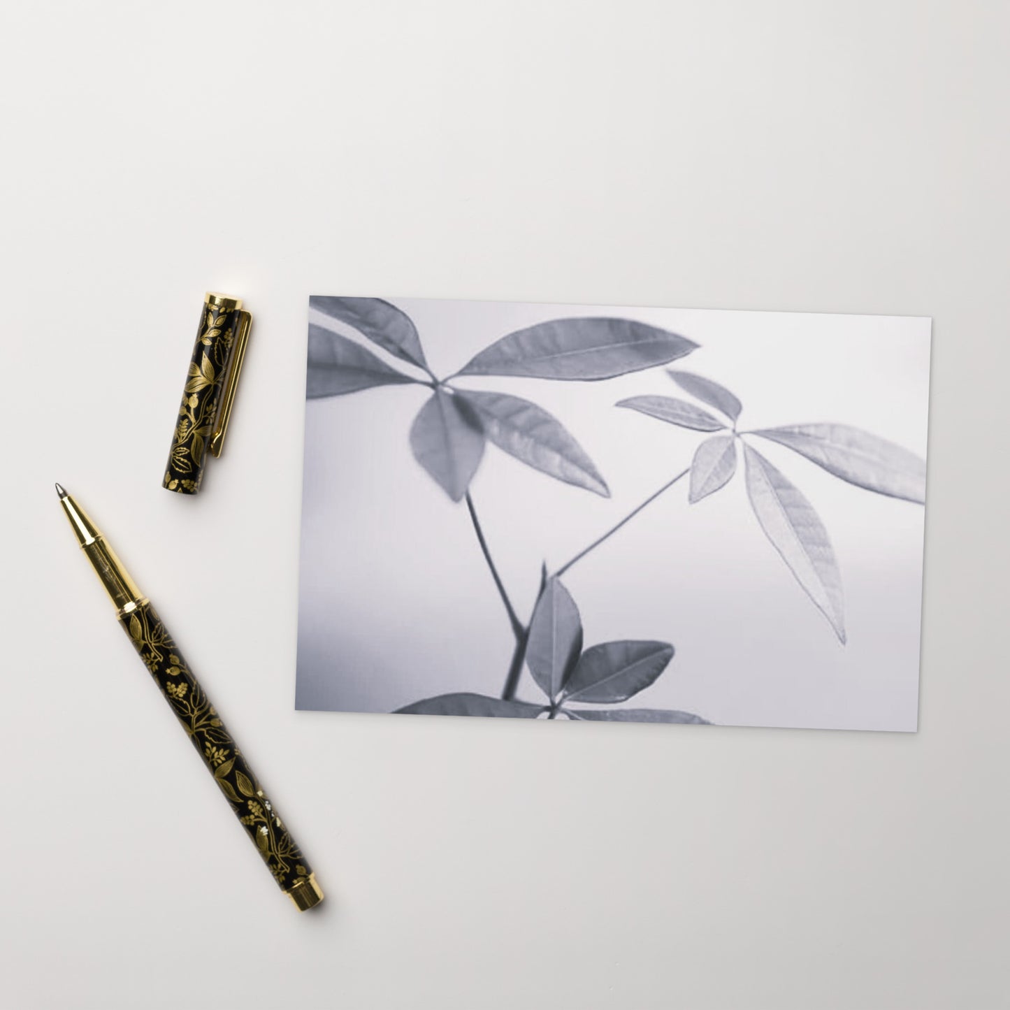 Minimalist art postcard featuring the 'Botanical (B&W)' photo art. / ポストカード：「ボタニカル (モノクロ)」のフォトアートを配したミニマリストデザイン。