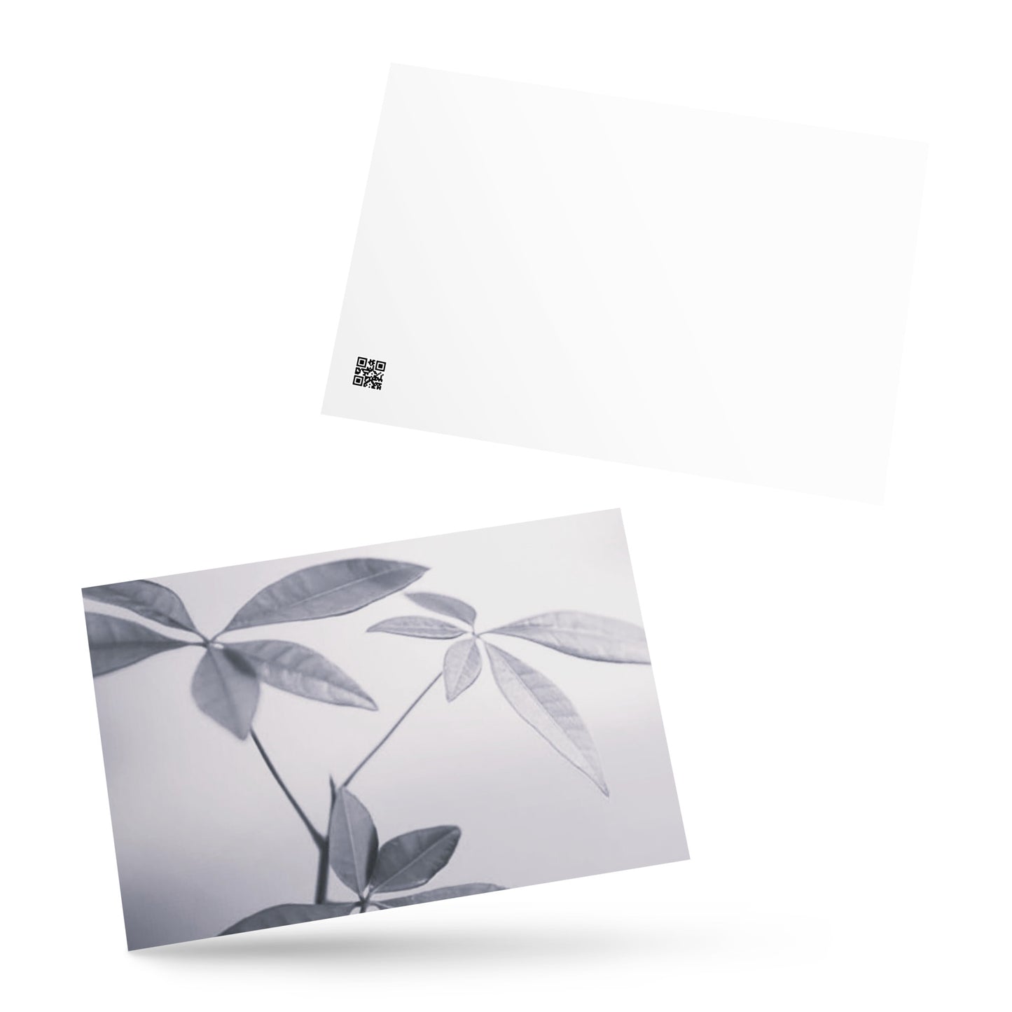 Minimalist art postcard featuring the 'Botanical (B&W)' photo art. / ポストカード：「ボタニカル (モノクロ)」のフォトアートを配したミニマリストデザイン。